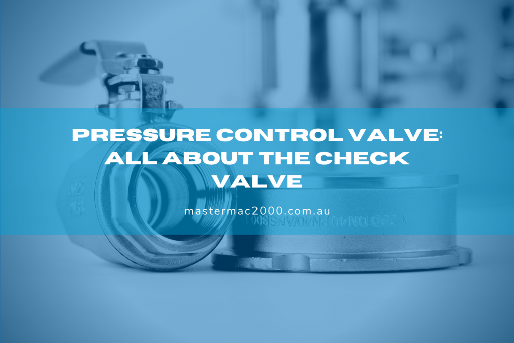 disco type check valve and butterfly valves