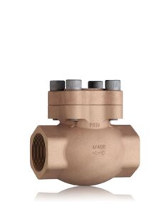 Mack Valves check valve